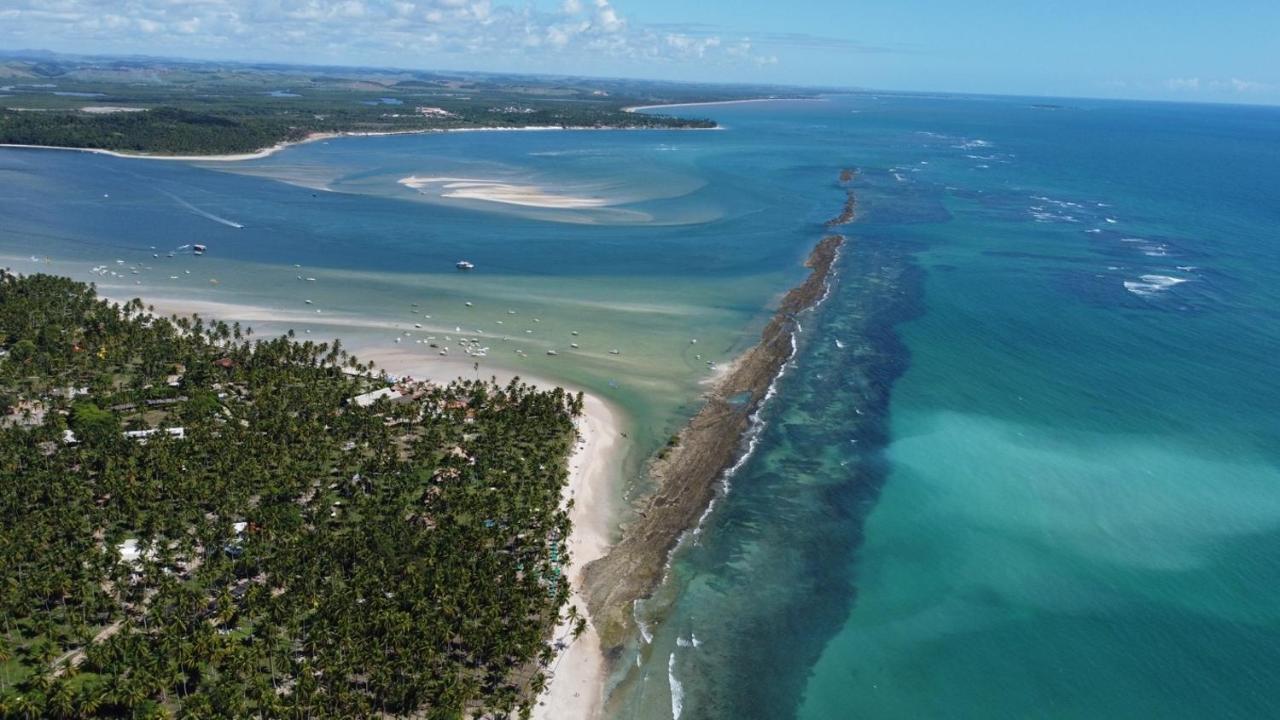 Carneiros Experience! Conforto E Pe Na Areia! Tamandaré Dış mekan fotoğraf